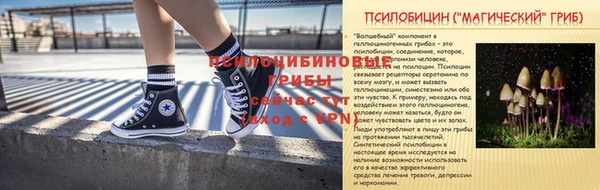 скорость Медвежьегорск