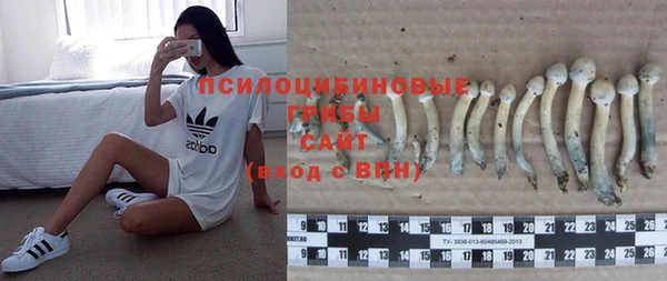гидра Гусь-Хрустальный