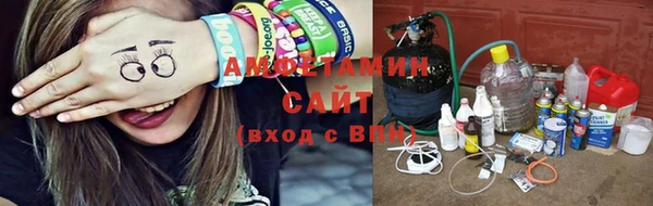 гидра Гусь-Хрустальный