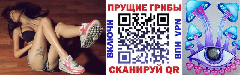 MEGA   Невьянск  Галлюциногенные грибы MAGIC MUSHROOMS 